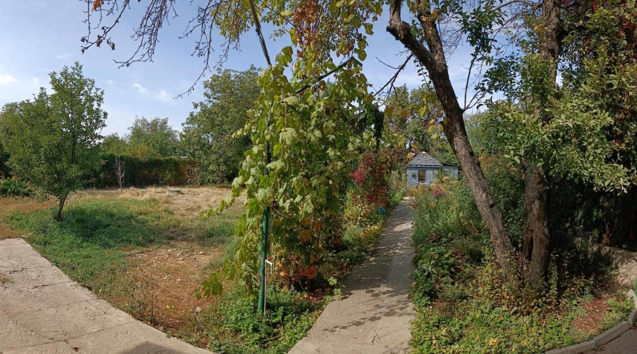 Уютный Ночлег Иссыкские Курганы Rahat Exterior photo